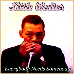 Download track Tonight With A Fool Little Walter