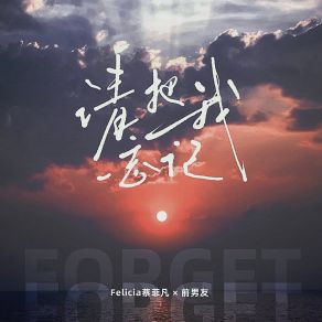 Download track 请把我忘记 (伴奏) Felicia蔡菲凡