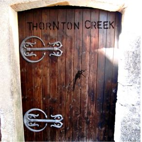 Download track Emi ThorNton Creek