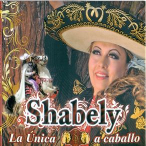 Download track Yo No Naci Pa' Rogar Shabely