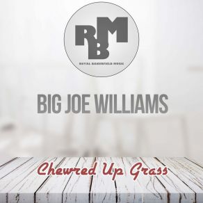 Download track Highway 49 (Original Mix) Big Joe Williams