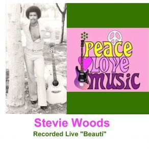 Download track Lazy Day (Live) Stevie Woods