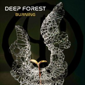 Download track Burning Sun Deep Forest