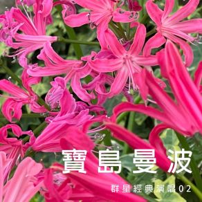 Download track 天涯流浪兒 張玉蓉