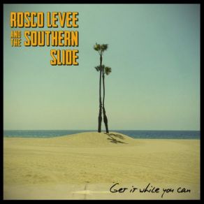 Download track Gamblin' Man Rosco Levee, The Southern Slide