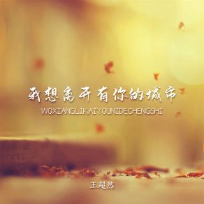 Download track 我想离开有你的城市 (DJ默涵版) 王超然