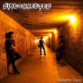 Download track Il Volo Del Calabrone Roberto Tucci