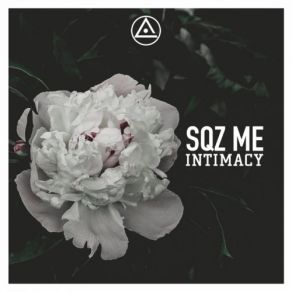 Download track Mosaic (Original Mix) Sqz Me