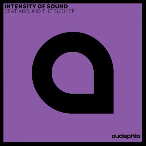 Download track Death By Disco Original Mix Intensity Of Sound