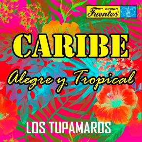 Download track San Pedro En El Espinal LOS TUPAMAROS