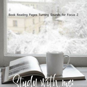 Download track Book Reading Pages Turning Sounds For Focus, Pt. 17 Bryan Maxwell