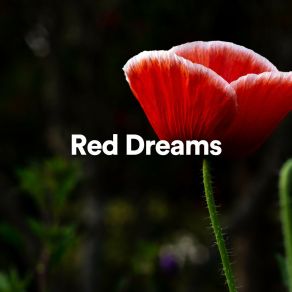 Download track Red Dreams, Pt. 13 Ambient 11