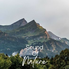 Download track 30 Beautiful Nature Sounds, Pt. 22 Nature Sounds Nature Music