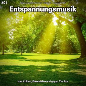 Download track Entspannungsmusik Pt. 80 Entspannungsmusik