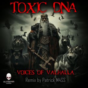 Download track Voices Of Valhalla (Patrick M4SS Remix) Toxic D. N. APatrick M4SS