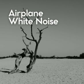 Download track Airplane White Noise, Pt. 16 The White Noise