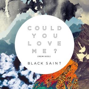 Download track Could You Love Me? (PH & Shizzle Remix) Black Saint