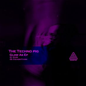 Download track Cocaine Flying The Techno Pig