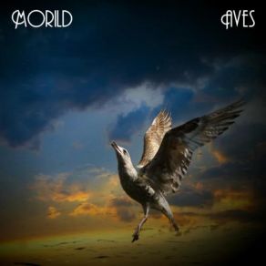 Download track Frost Gloves Morild