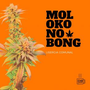 Download track Memberdance Moloko No Bong