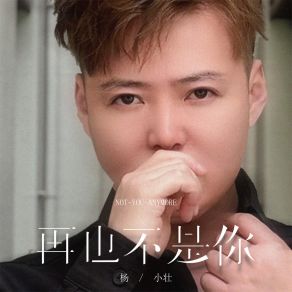 Download track 再也不是你 (Live版) 杨小壮