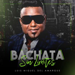 Download track Ya Volvió Luis Miguel Del Amargue