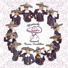 Download track Las Ciudades Mariachi Femenil Nuevo Tecalitlan