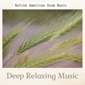 Download track Visioning Music Sleep Native American Flute