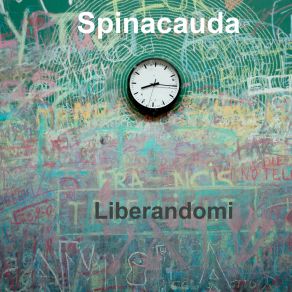 Download track Solletica La Memoria Spinacauda