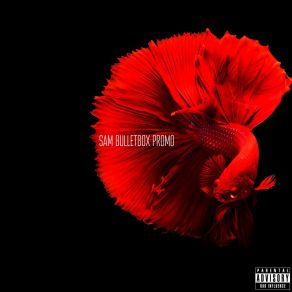 Download track Promo (Third Remix) Sam Bulletbox