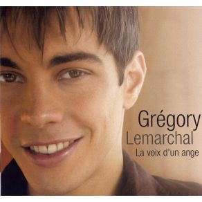 Download track De Temps En Temps Grégory Lemarchal