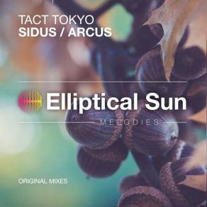 Download track Sidus (Original Mix) TACT TOKYO