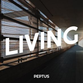 Download track Living (Radio Edit) Peptus