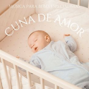 Download track Canciones De Cuna Para La Hora De Dormir Musica Para Bebes Especialistas