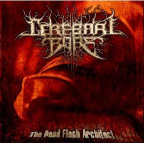 Download track The 13th Vile Vortice Cerebral Bore