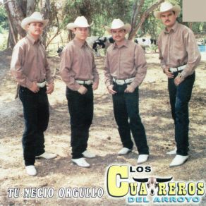 Download track El Zapato Mocho Los Cuatreros Del Arroyo