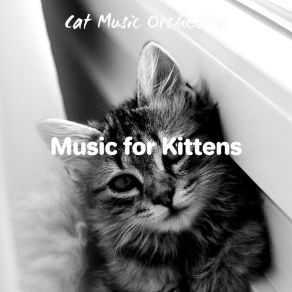 Download track Carefree Cats Cat Music Orchestra