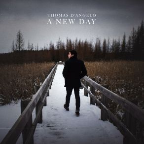 Download track Save Tonight Thomas D'Angelo