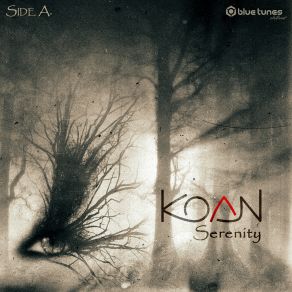 Download track Arousal (Serenity Mix) Koan