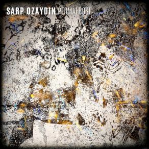 Download track Diamond Flask Sarp Ozaydin