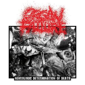 Download track Face Mutilation (Regurgitate) Organ FailureRegurgitate