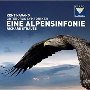 Download track 18. Eine Alpensinfonie, Op. 64, TrV 233 Stille Vor Dem Sturm (Calm Before The Storm) - Richard Strauss