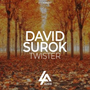 Download track Twister (Extended Mix) David Surok