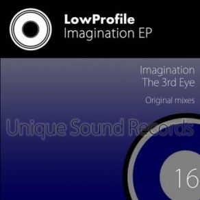 Download track Imagination (Original Mix) LowProfile
