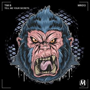 Download track Tell Me Your Secrets Tim B