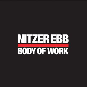 Download track Control I'M Here (Strategic Dancefloor Initiative Mix)  Nitzer Ebb