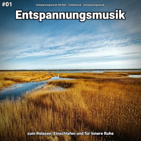 Download track Entspannungsmusik Pt. 54 Entspannungsmusik