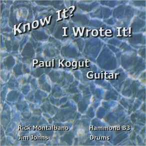 Download track Now You've Done It Paul Kogut