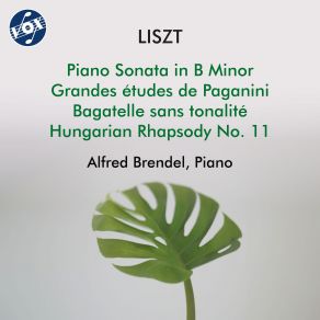 Download track Grandes Études De Paganini, S. 141: No. 4 In E Major Alfred Brendel