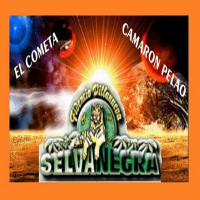 Download track Mi Ilusión Selva Negra